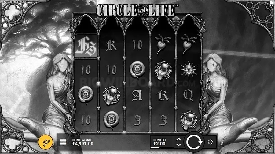 Live Casino